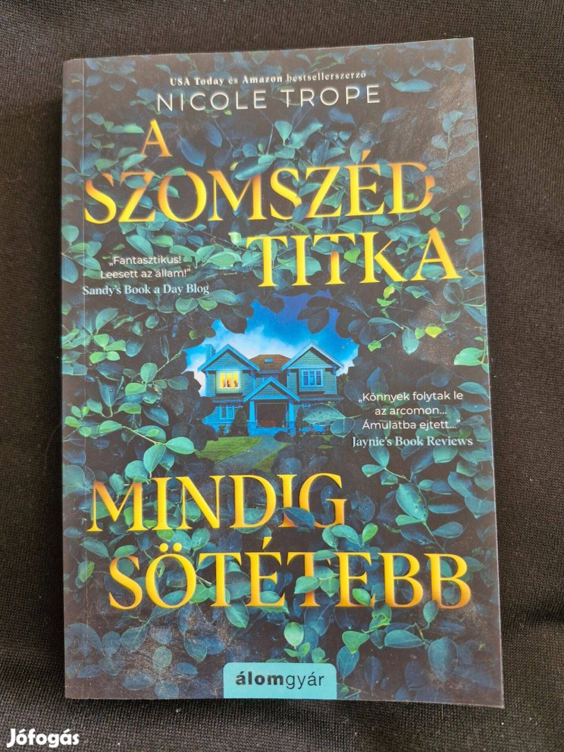 Nicole Trope - A szomszéd titka mindig sötétebb