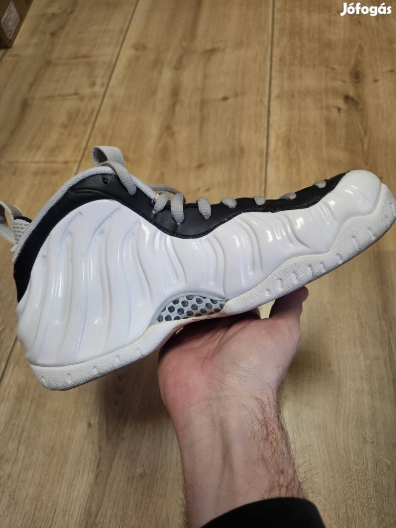 Nike Air Foamposite Pro  41