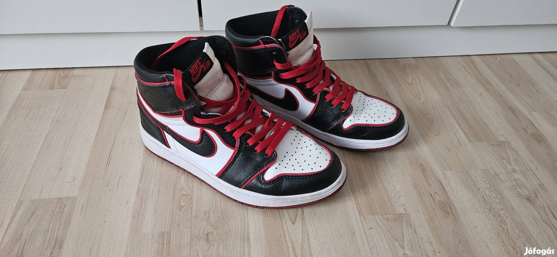 Nike Air Jordan 1  (41)
