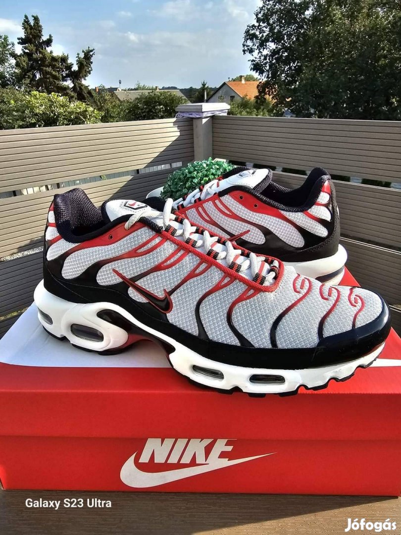 Nike Air Max Plus (43)