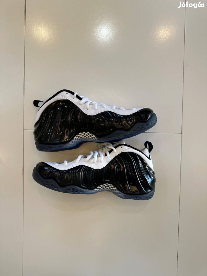 Nike Foamposite Concord 45