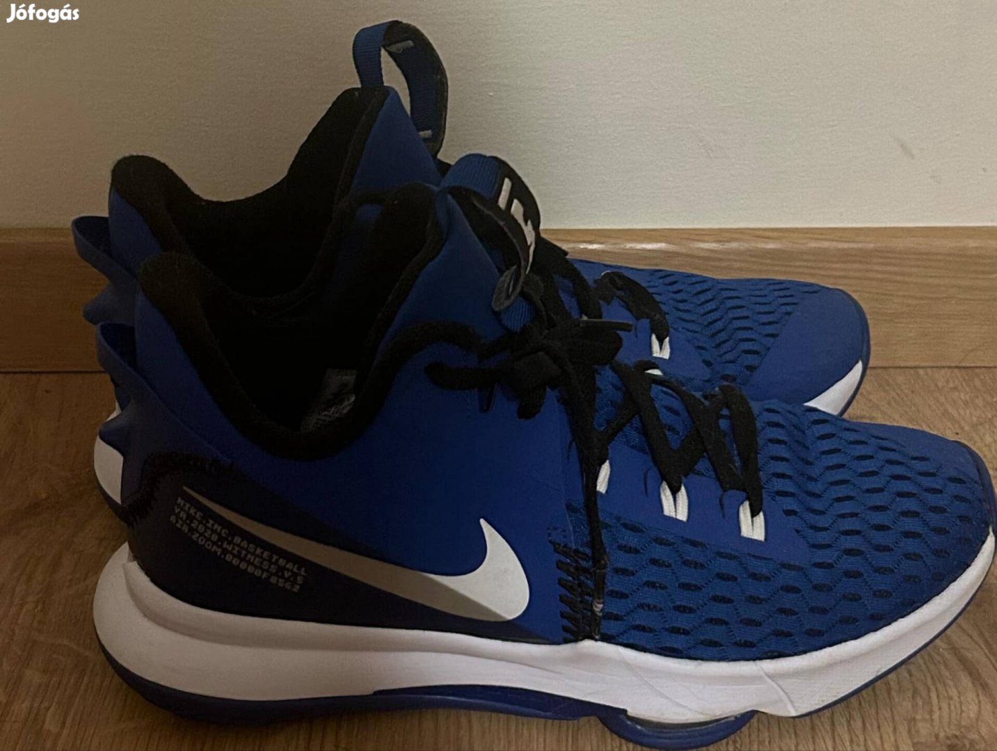 Nike Lebron Witness V (43)