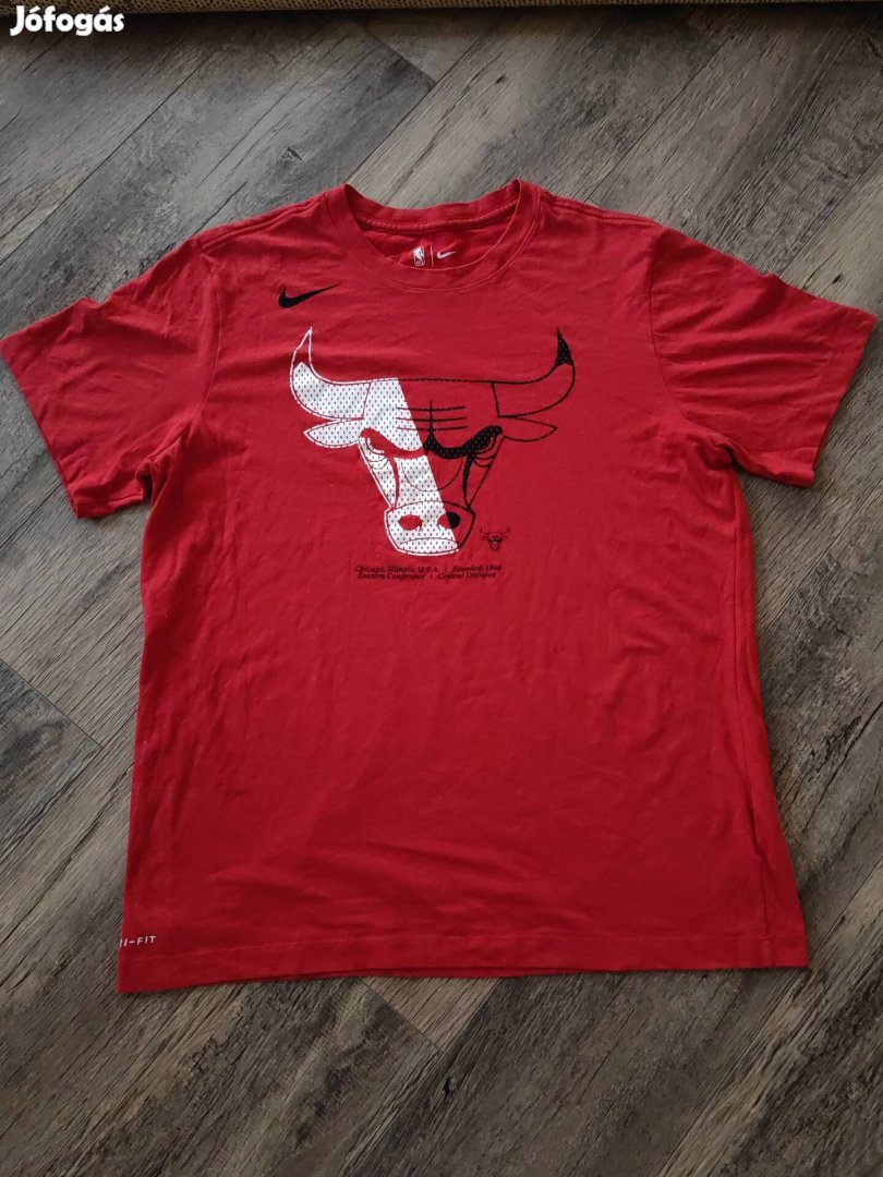 Nike NBA Chicago Bulls polo L