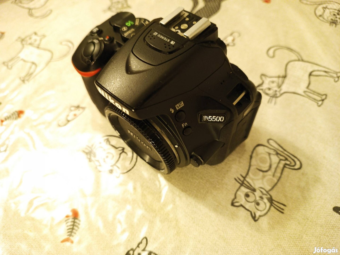 Nikon D5500 (D5600)