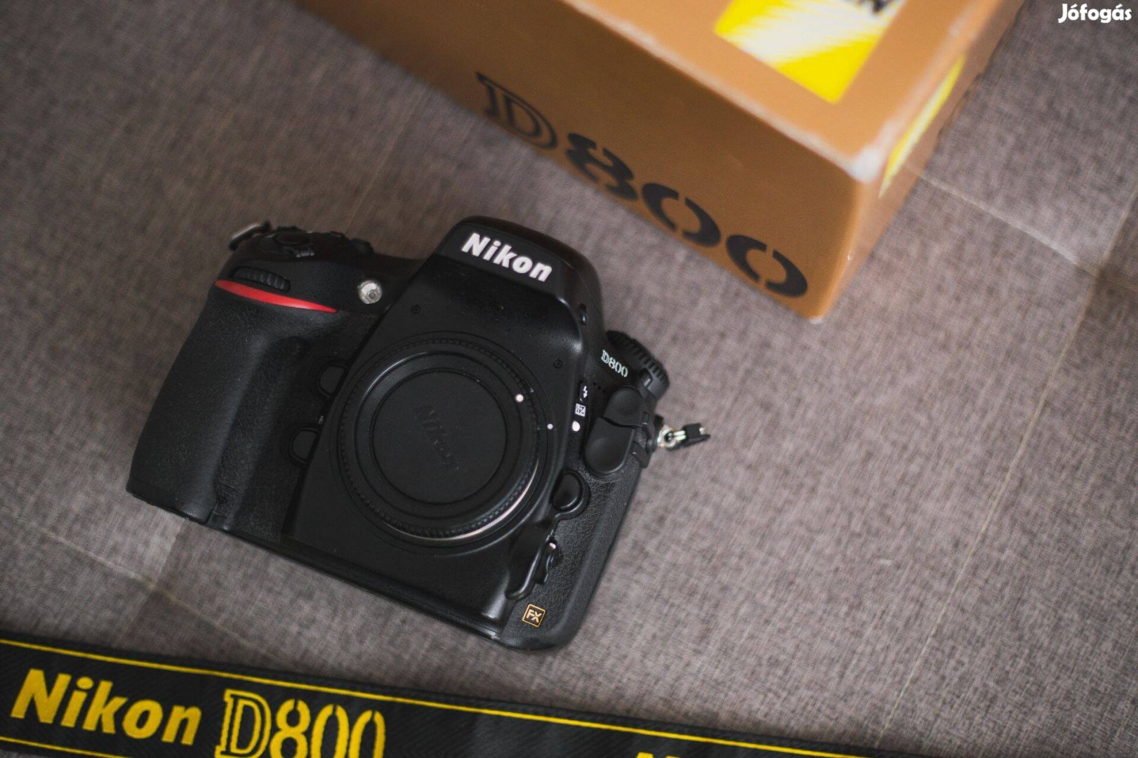 Nikon D800 (33 ezer expo)