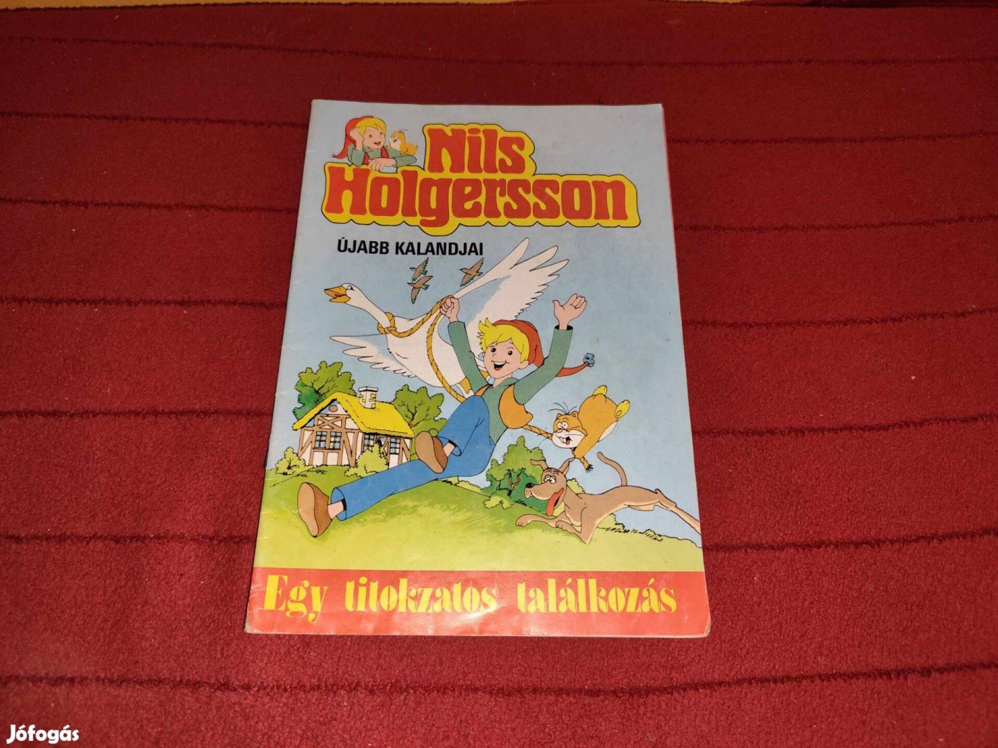 Nils Holgersson 1. Egy titokzatos találkozás