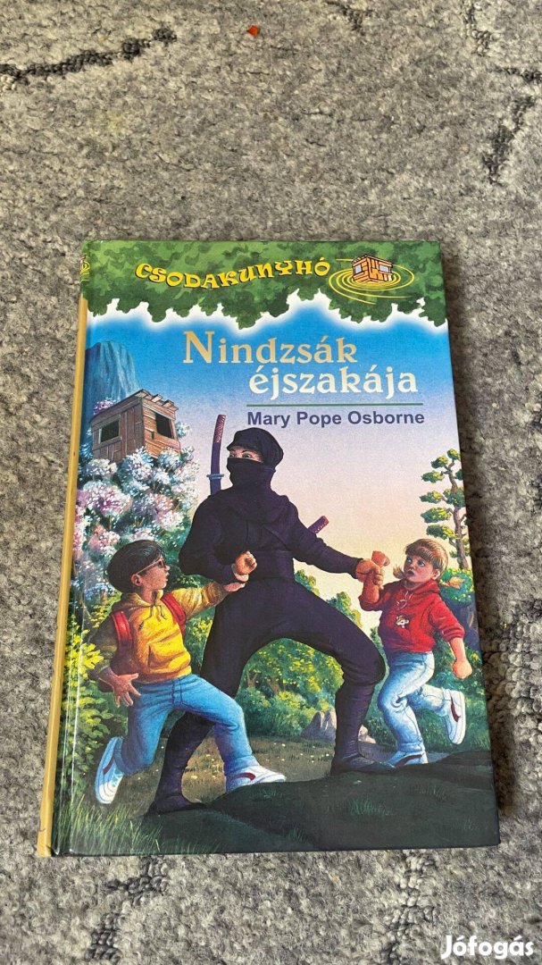 Nindzsák éjszakája mesekönyv