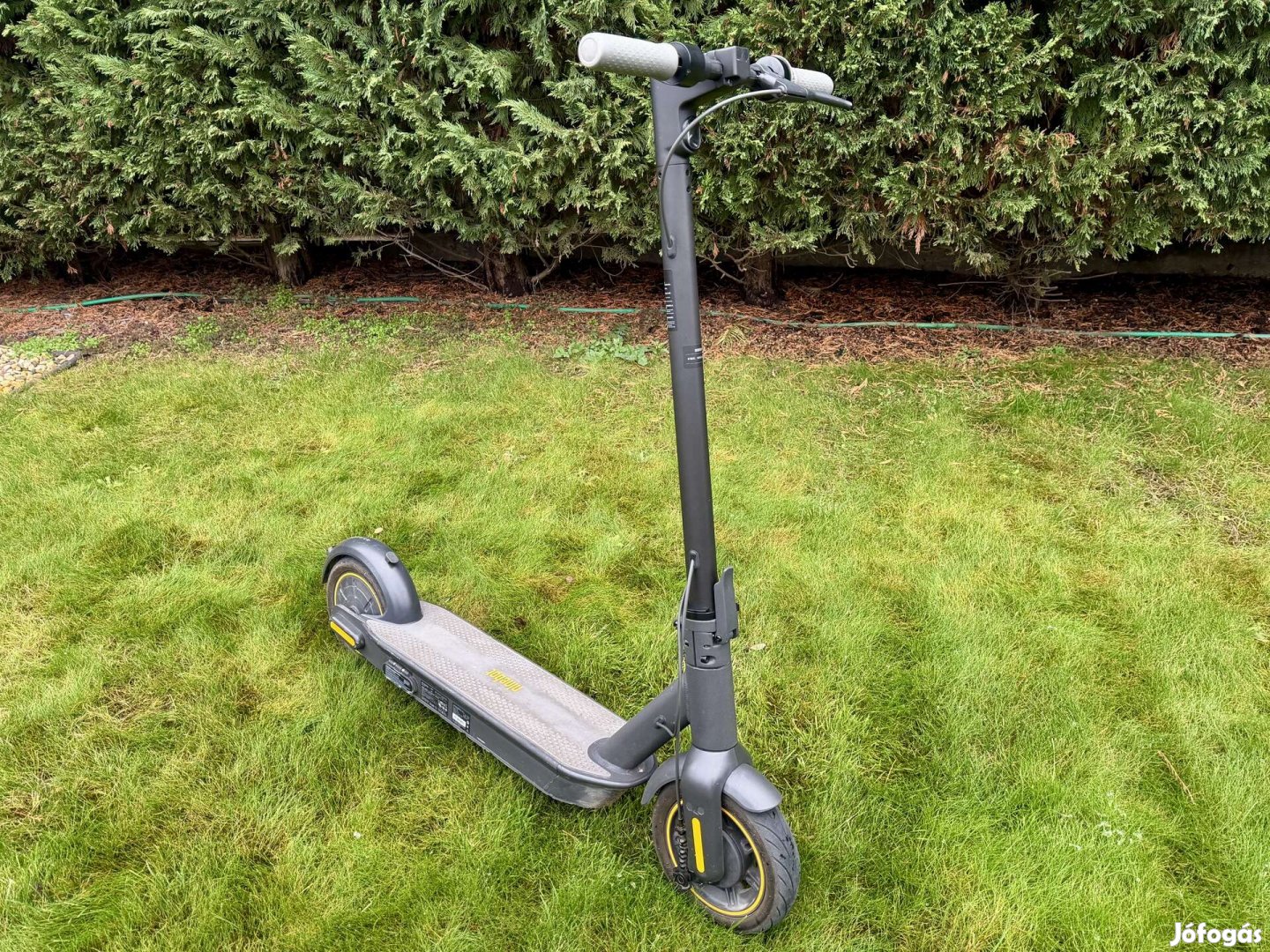 Ninebot G30 Eladó 