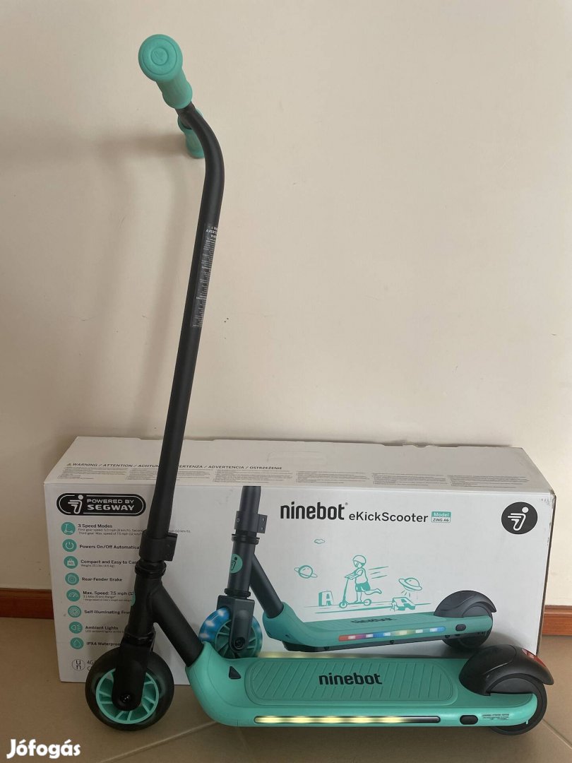 Ninebot ekickscooter roller