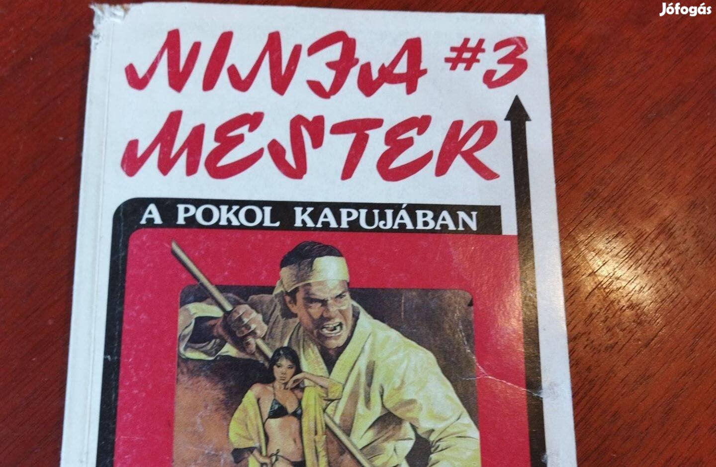 Ninja mester #3