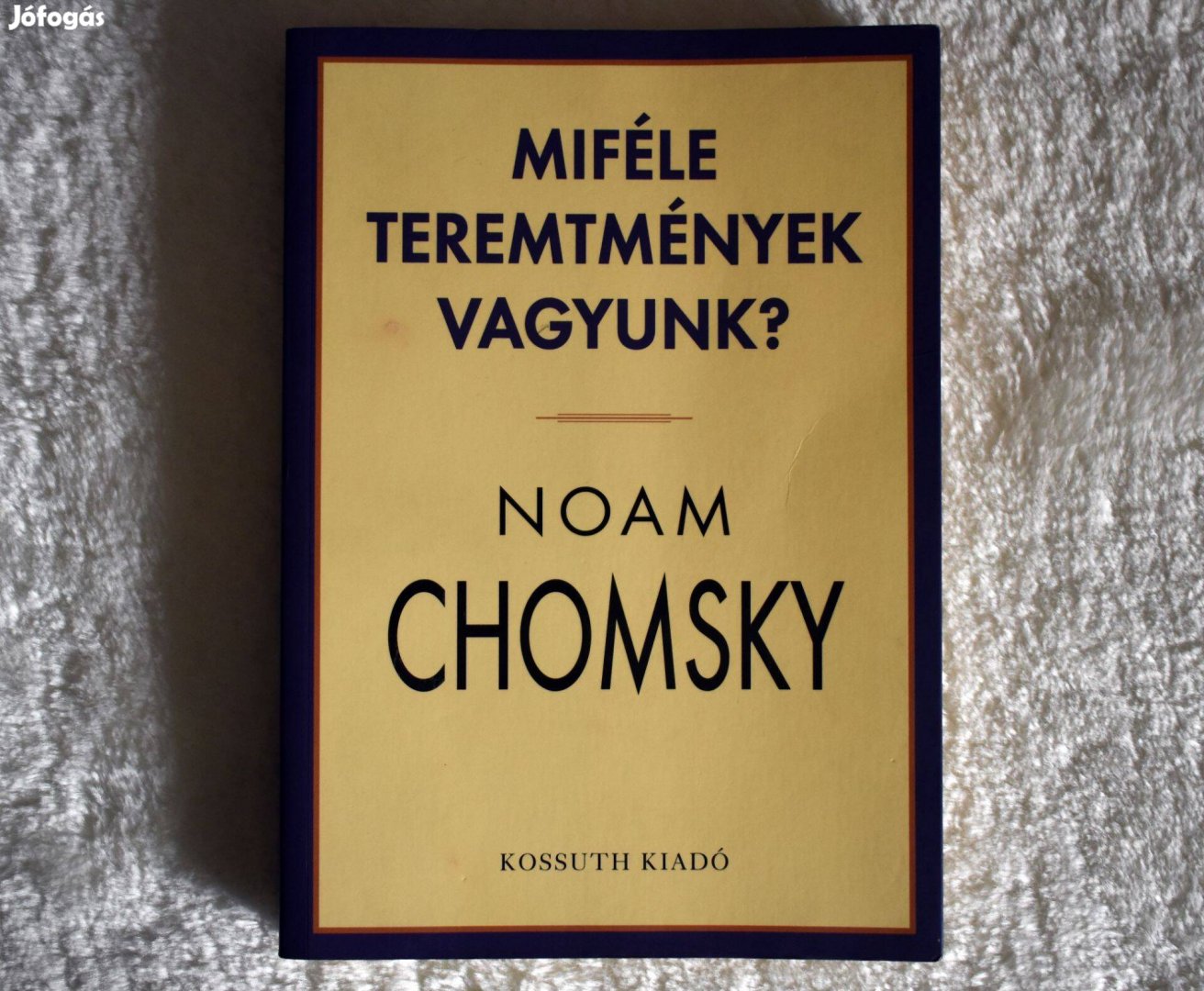 Noam Chomsky: Miféle teremtmények vagyunk?