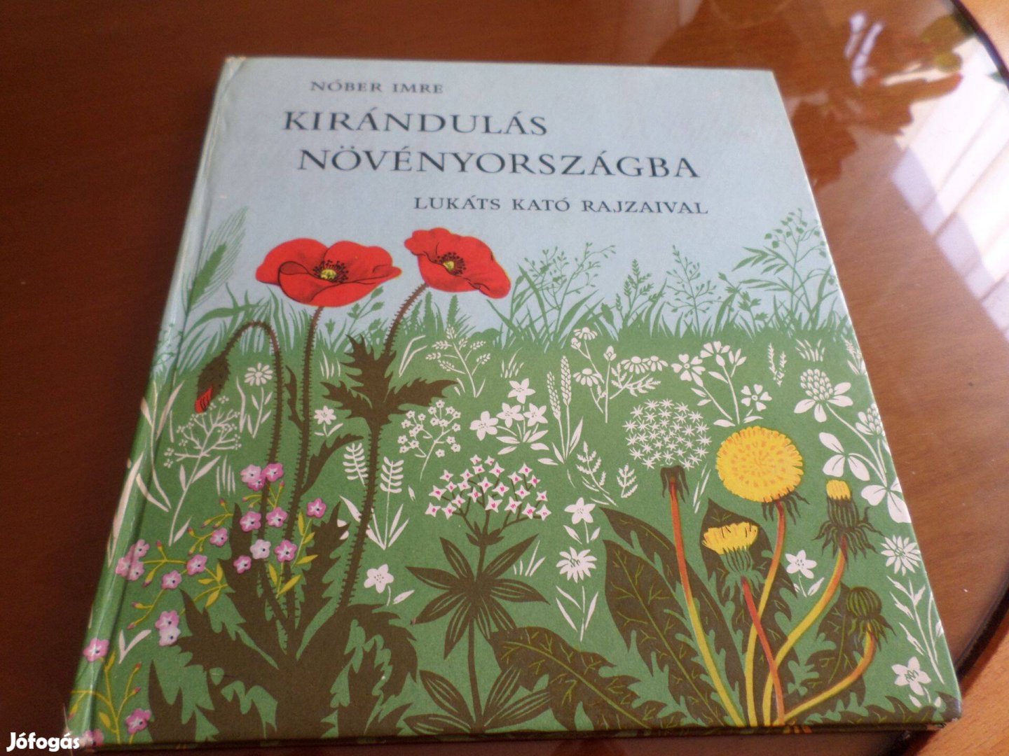 Nóber Imre Kirándulás Növényországba, Gyermekkönyv