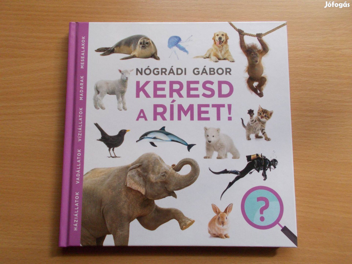 Nógrádi Gábor: Keresd a rímet!