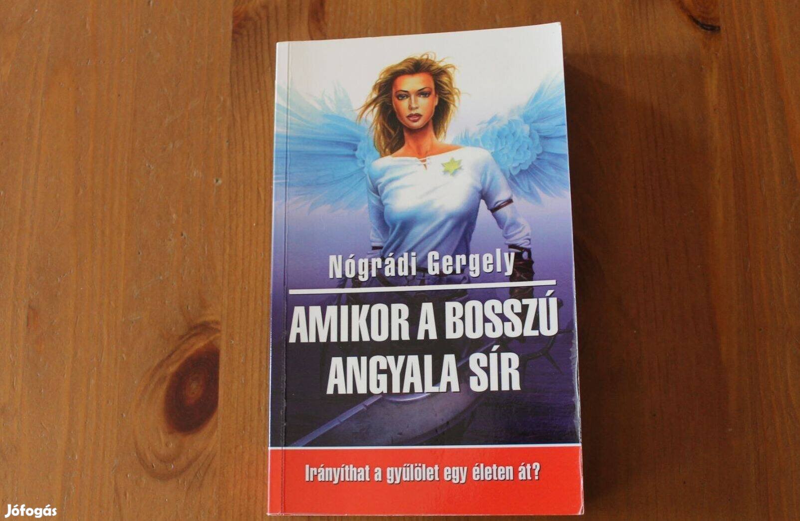 Nógrádi Gergely - Amikor a bosszú angyala sír