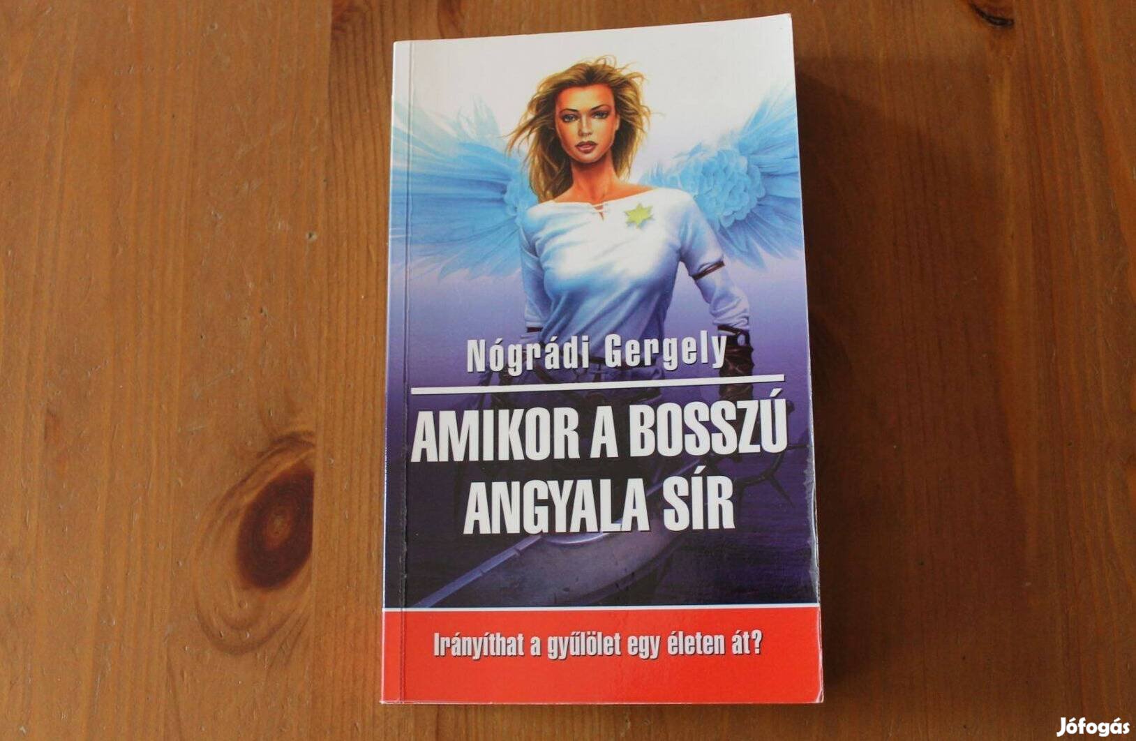 Nógrádi Gergely - Amikor a bosszú angyala sír