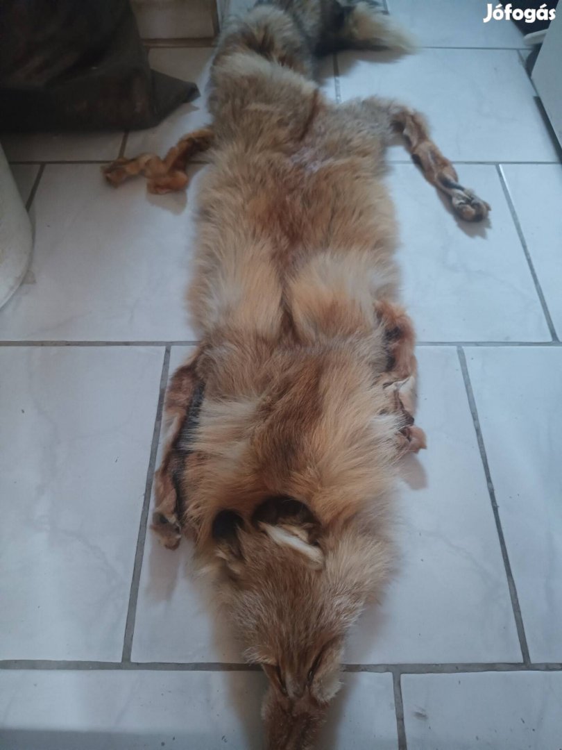 Női ruha kiegészítő