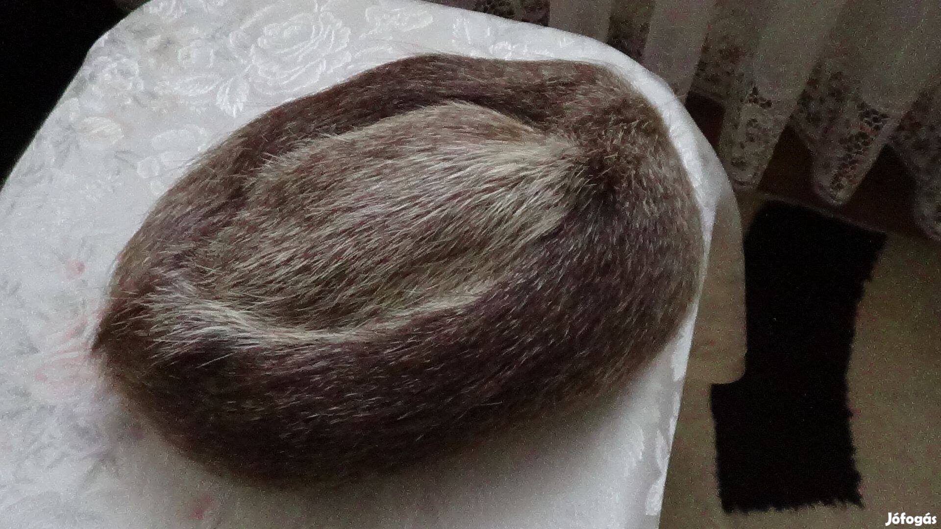 Női szőrme nutria sapka eladó