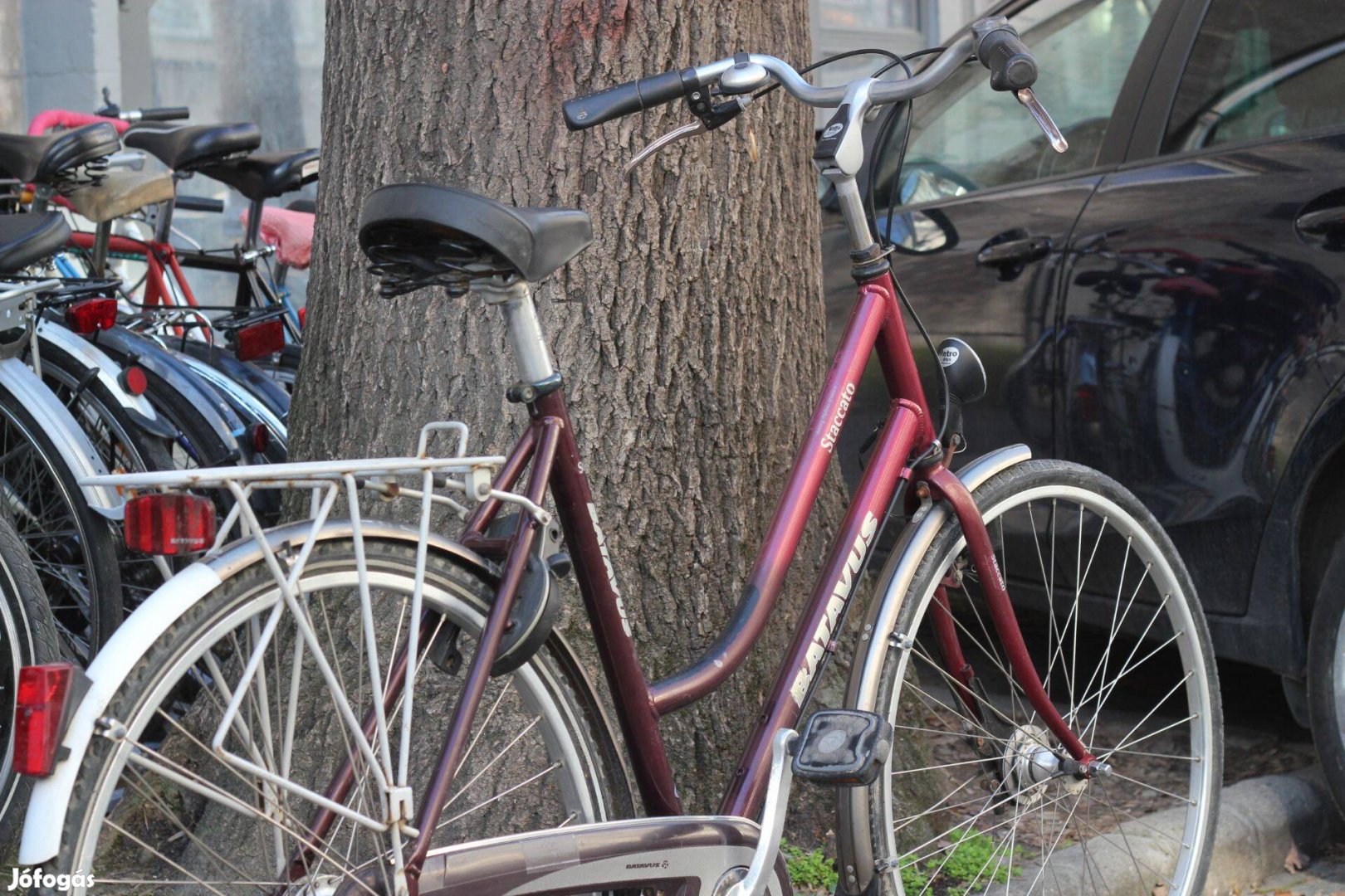 Női városi kerékpár Batavus Staccato (56,5cm alu)