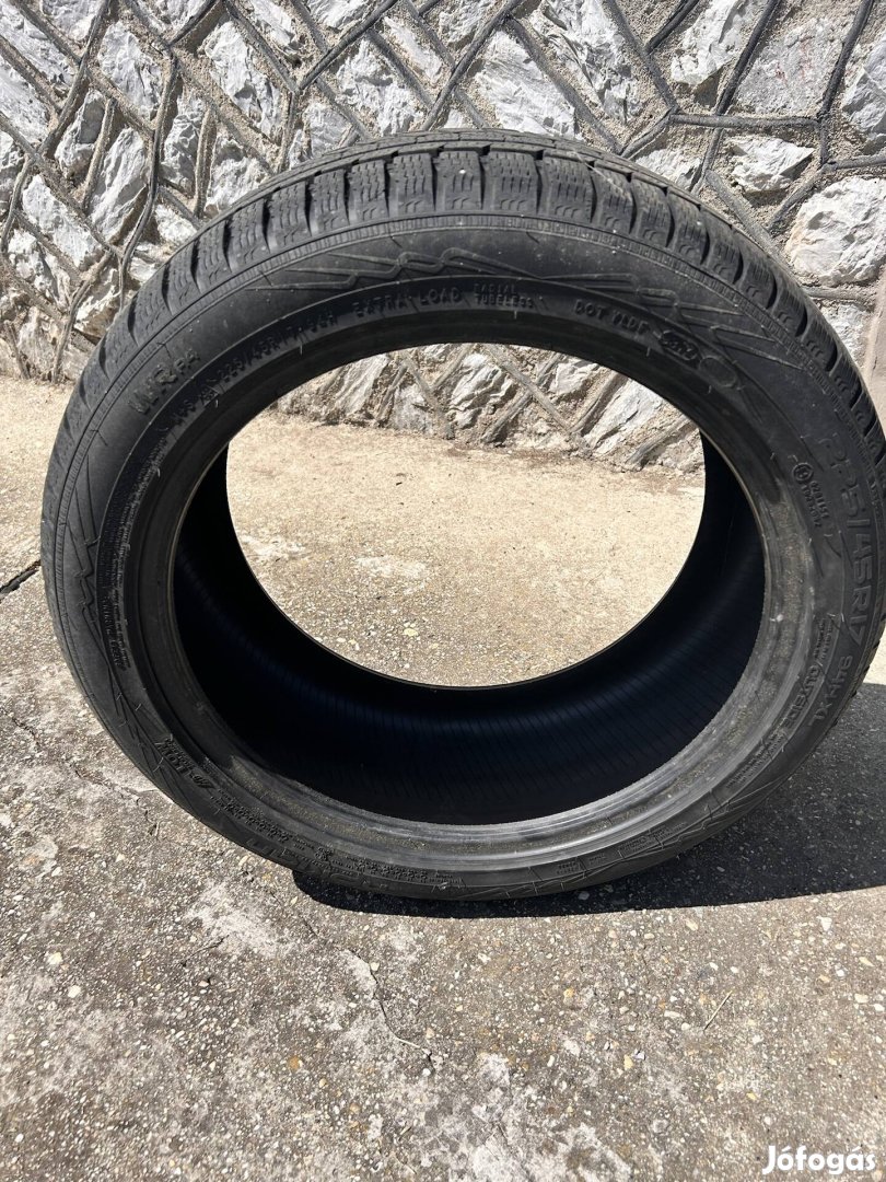 Nokian WR D4 225/45 R17 91H téli gumi