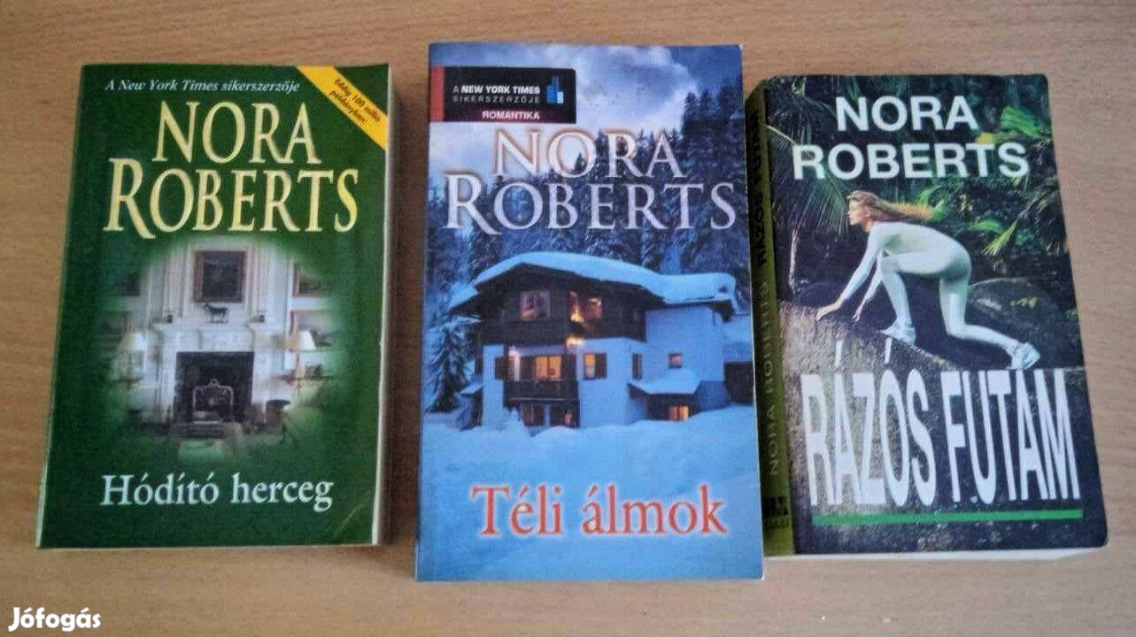 Nora Roberts Téli álmok / Rázós futam / Hódító herceg