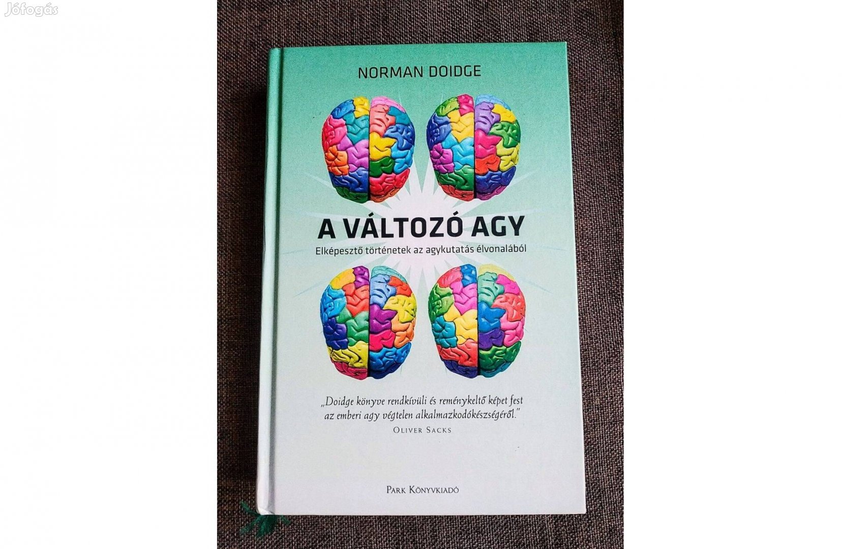 Norman Doidge A változó agy - Elképesztő történetek az agykutatás élv