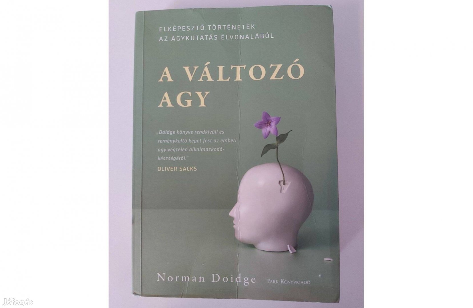 Norman Doidge: A változó agy