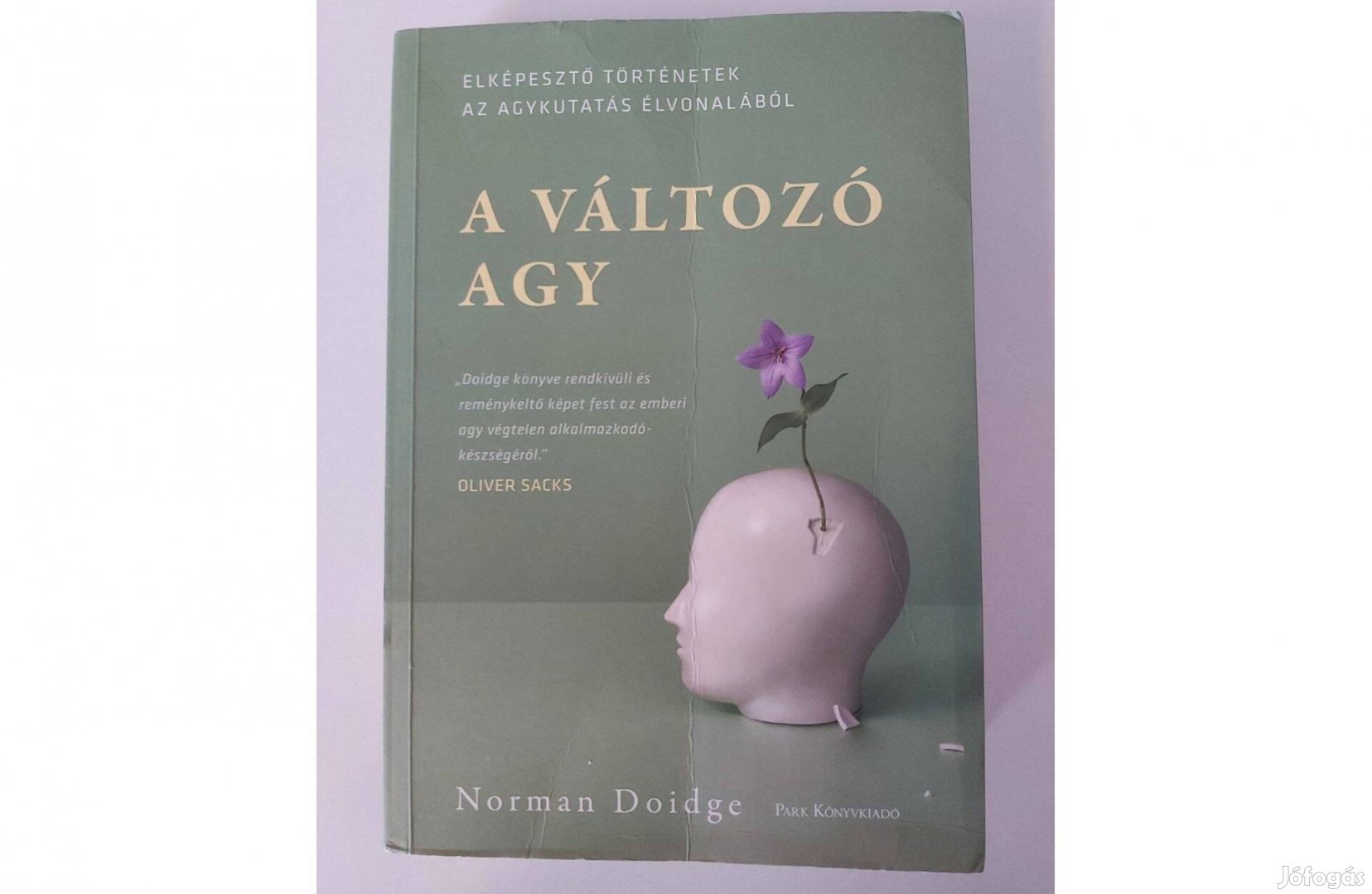 Norman Doidge: A változó agy