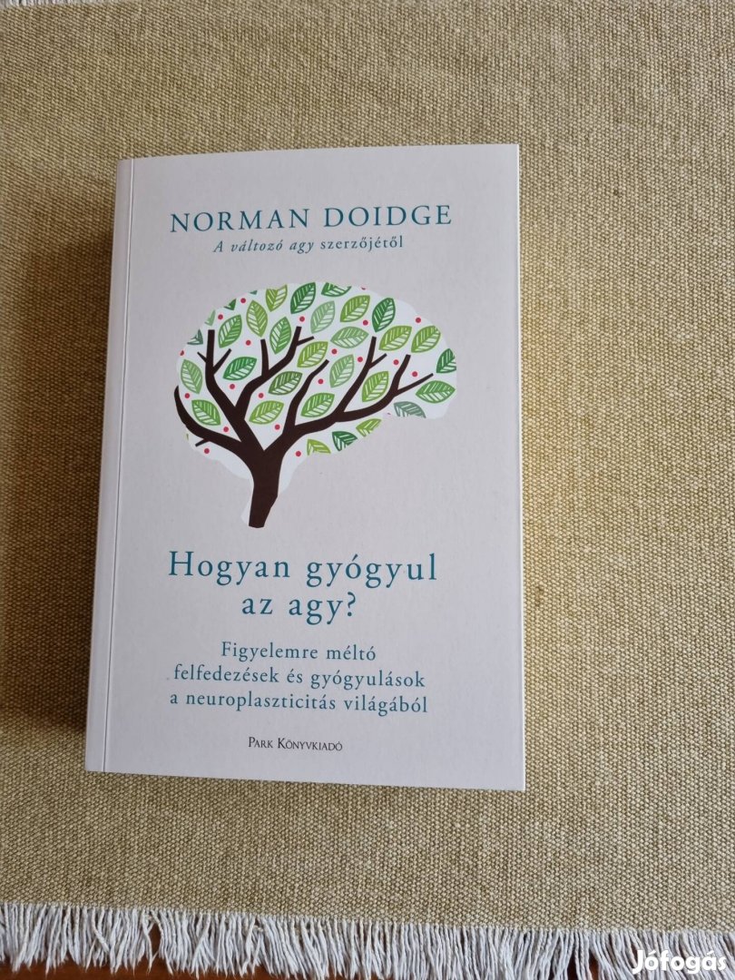 Norman Doidge, Hogyan gyógyul az agy?