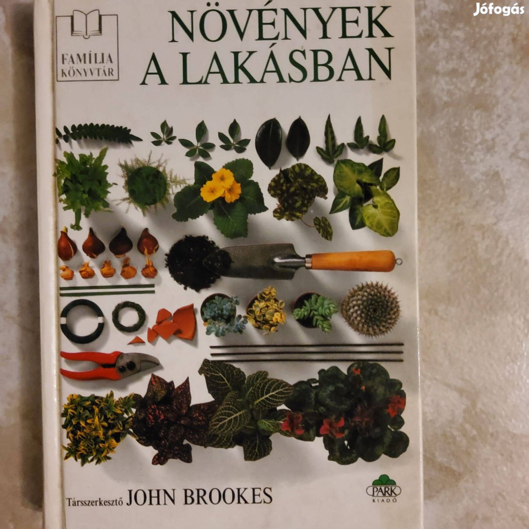Novenyek a lakasban