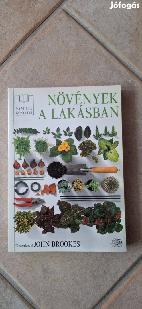 Növények a lakásban