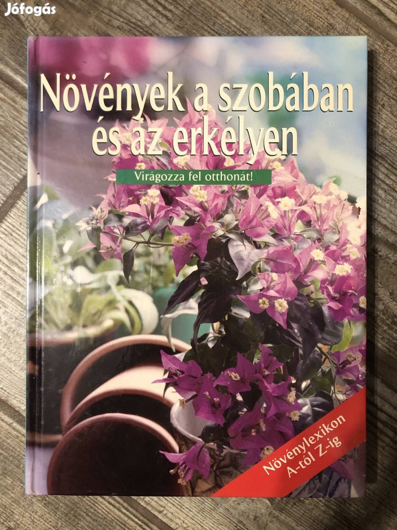 Növények a szobában és az erkélyen