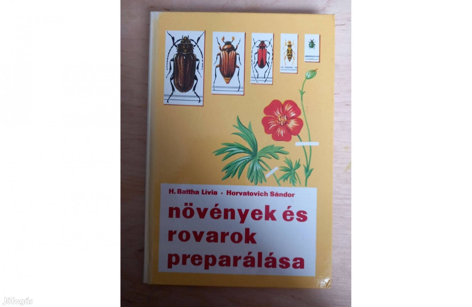 Növények és rovarok preparálása