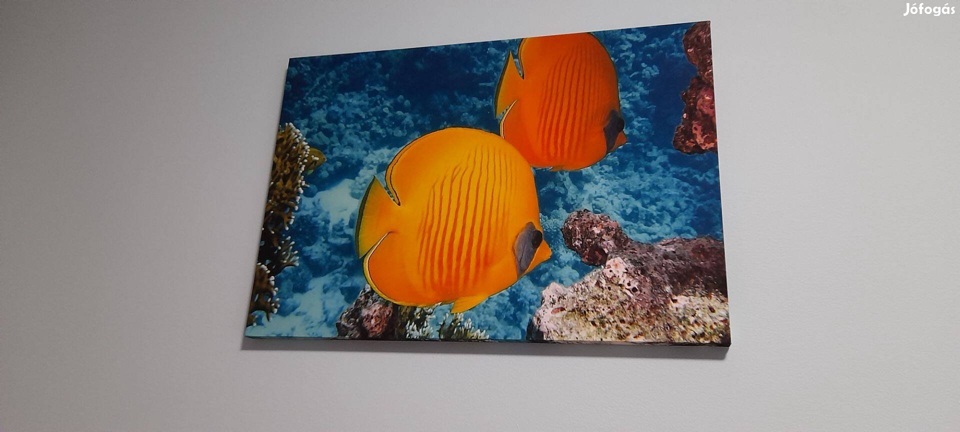 Nyári hangulatú táblakép .65x45 cm