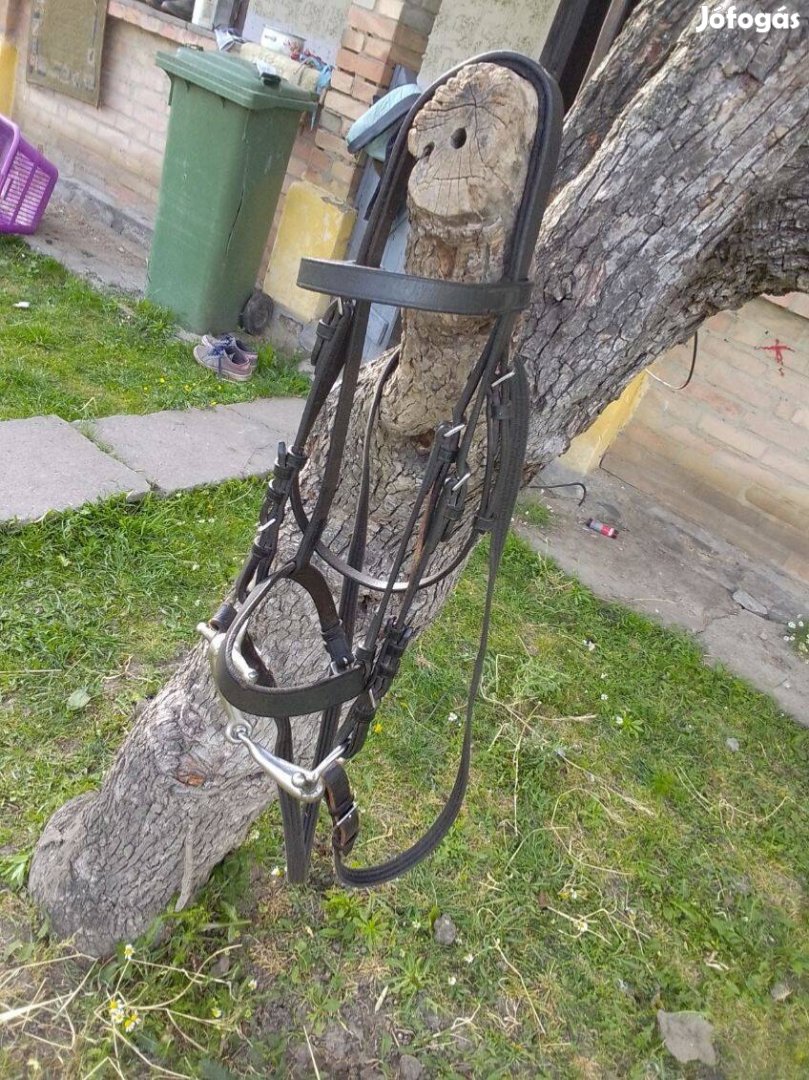 Nyereg és kantár