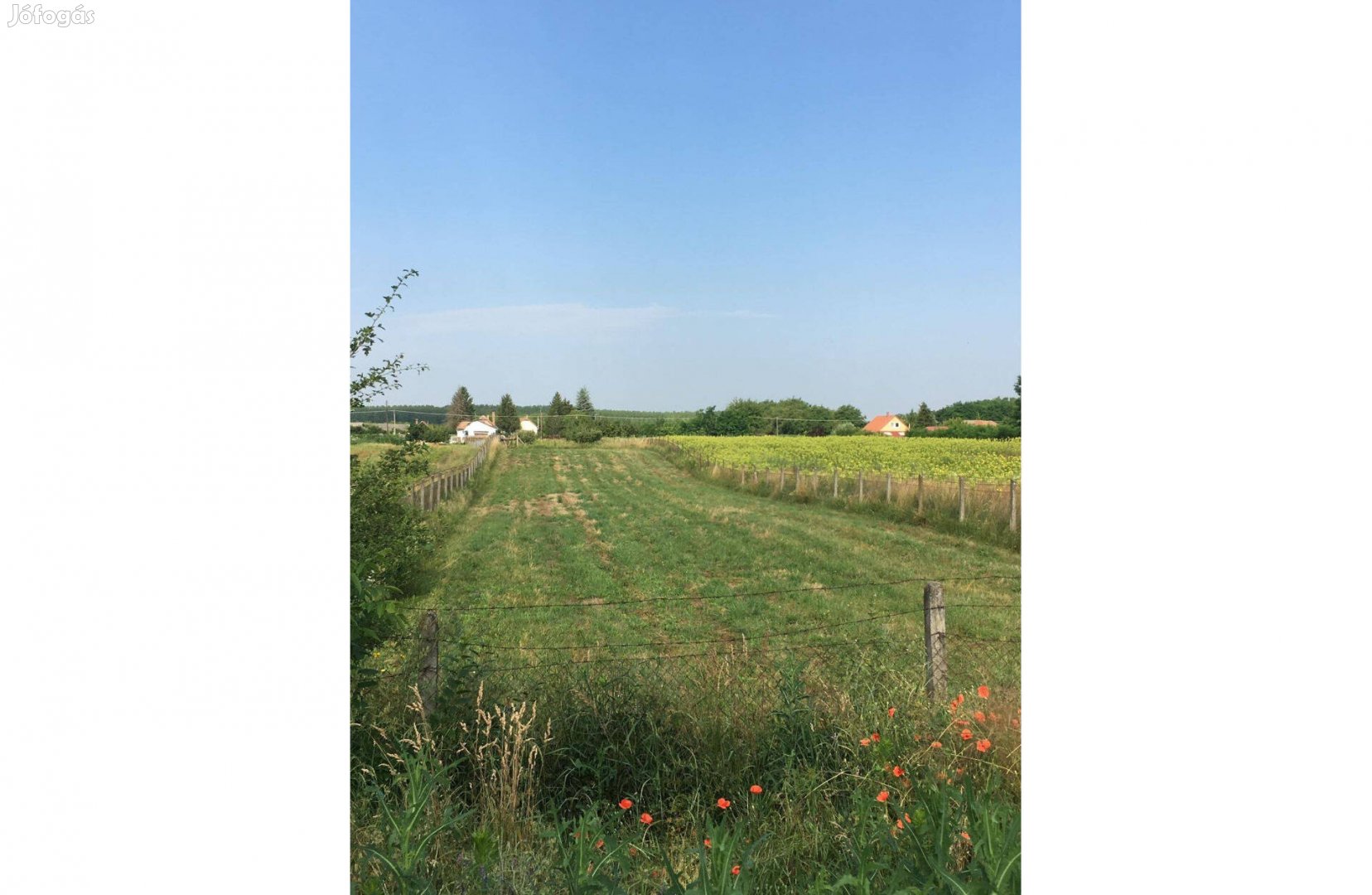 Nyíregyháza Nyírség utcán 1.500 m2 telek eladó