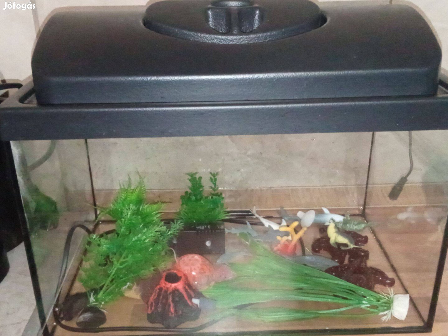 Nyíregyháza eladó akvárium