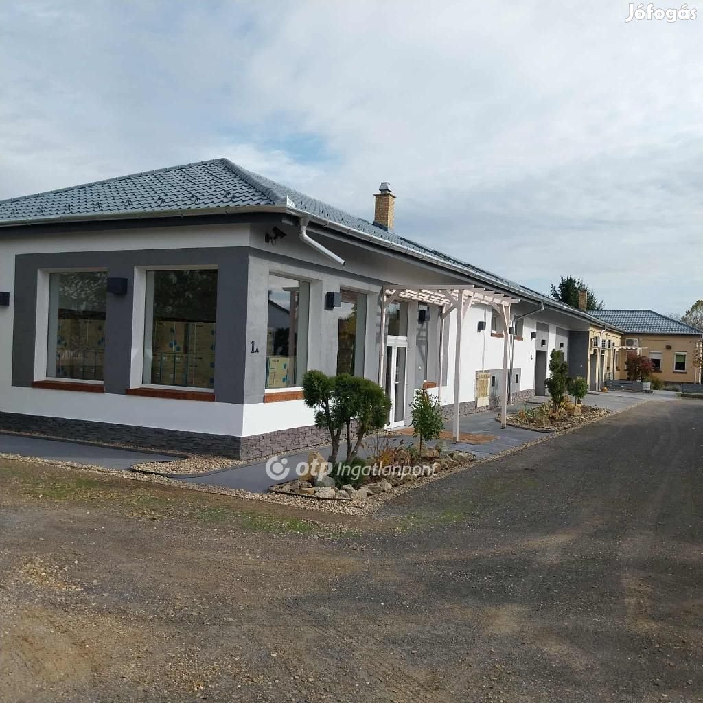 Nyíregyházai 171 nm-es lakás eladó