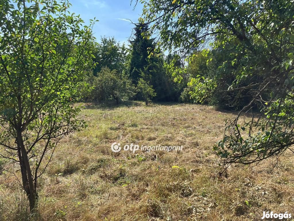 Nyíregyházai eladó 1602 nm-es telek