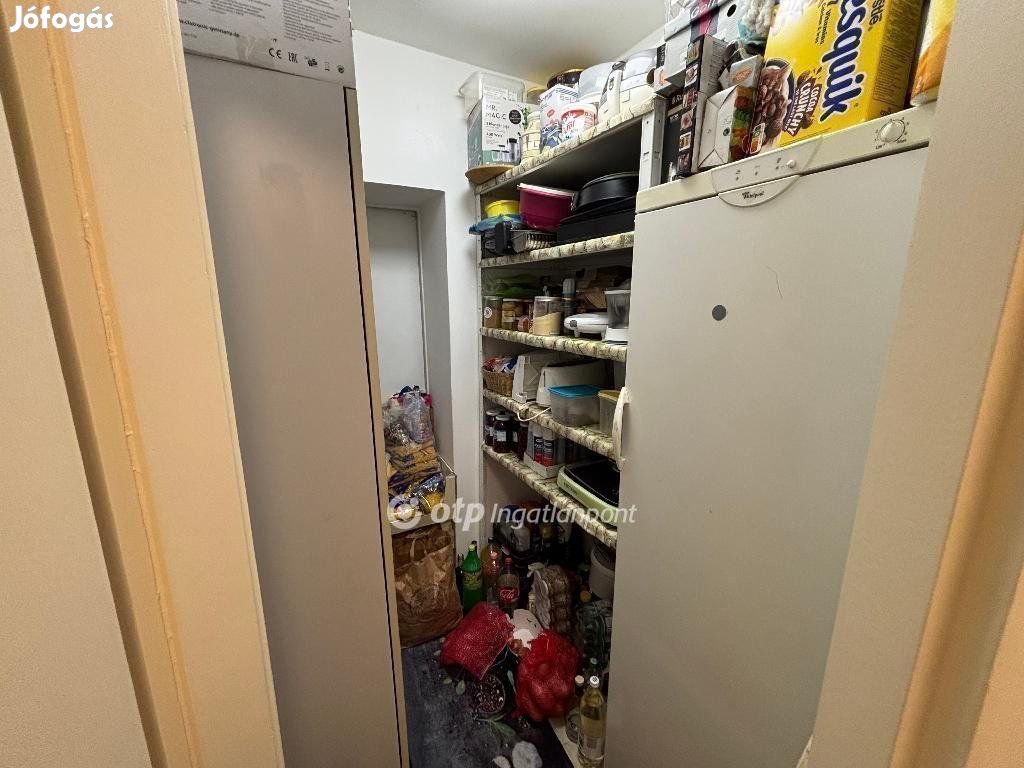 Nyíregyházai eladó 210 nm-es ház