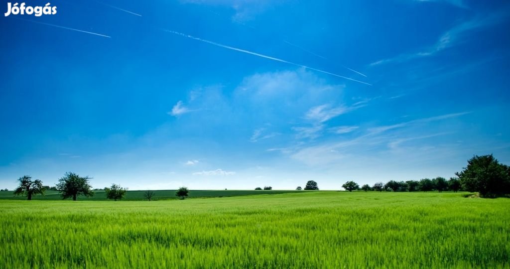 Nyíregyházai eladó 6705 nm-es telek