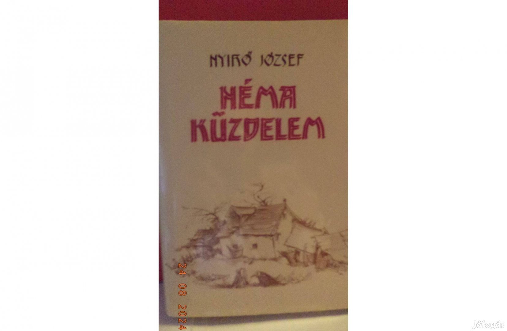 Nyirő József: Néma küzdelem