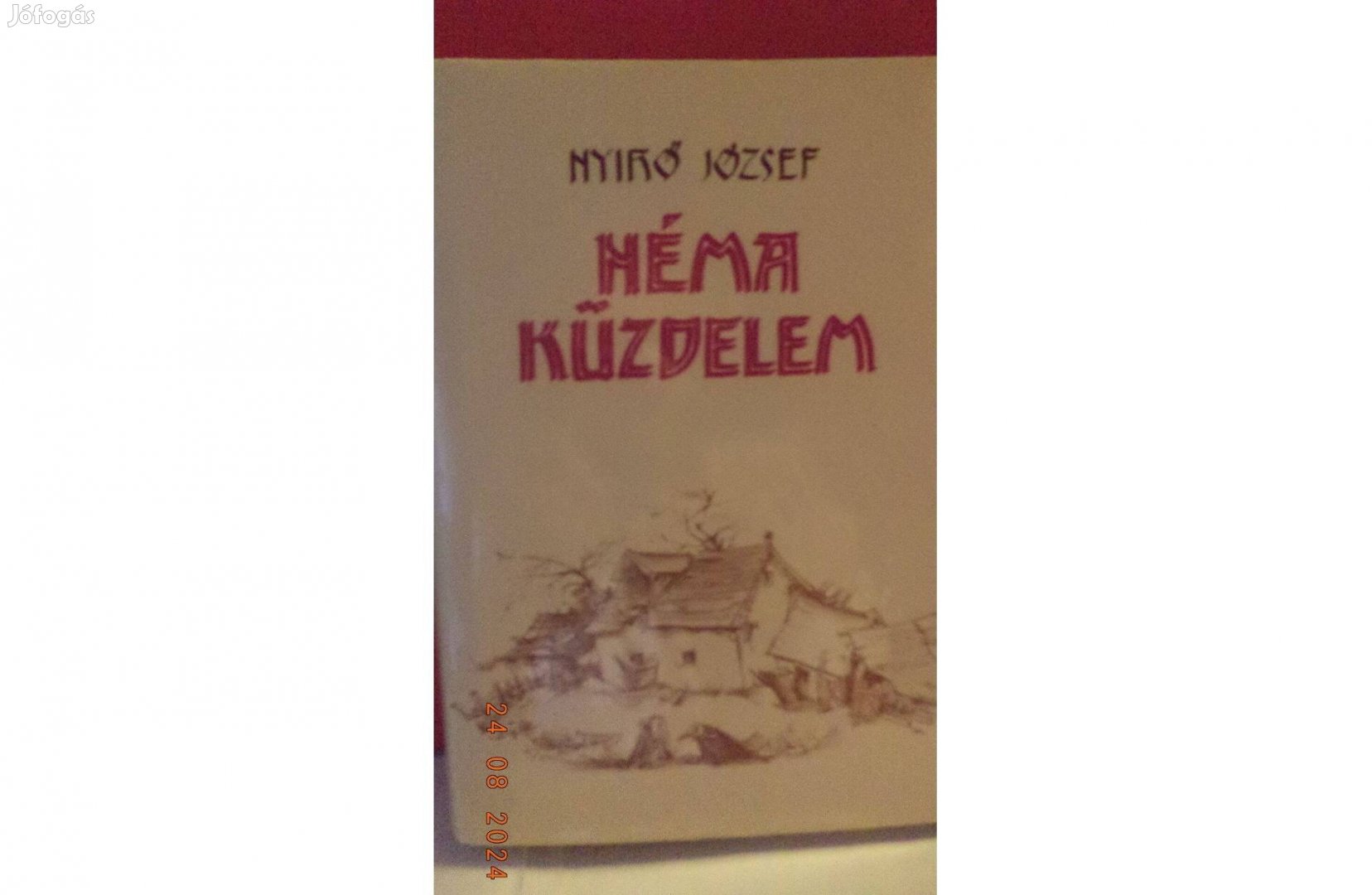 Nyirő József: Néma küzdelem