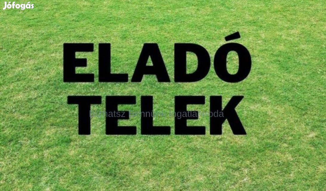 Nyírszőlősön építési telek eladó!