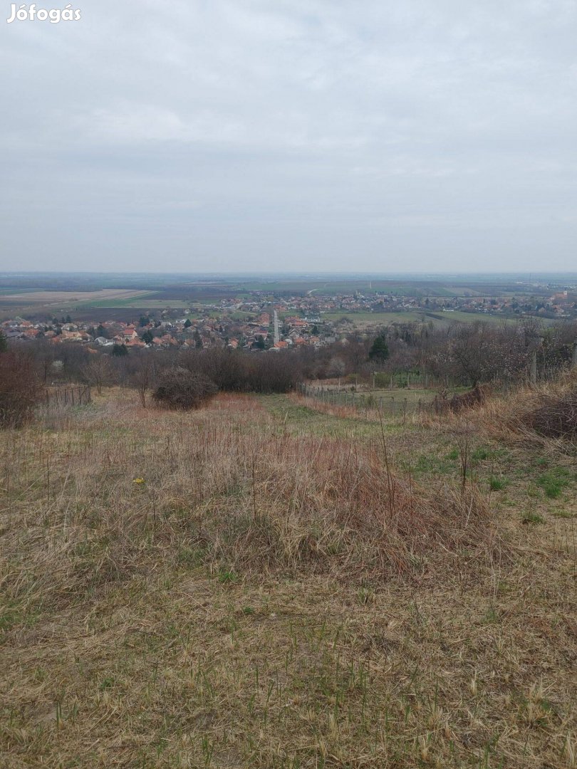 Nyúlon eladó egy 1755 m2 alapterületű örökpanorámás telek