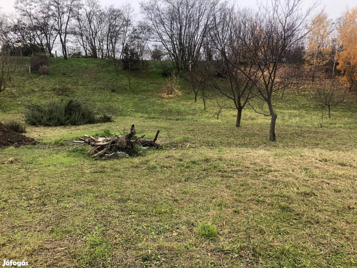 Nyúlon eladó egy 1947 m2 alapterületű, belterületi, építési telek