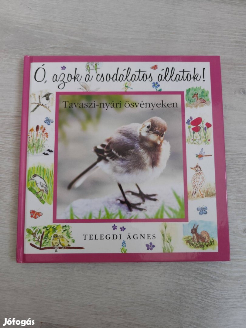 Ó, azok a csodálatos állatok - Tavaszi-nyári ösvényeken,