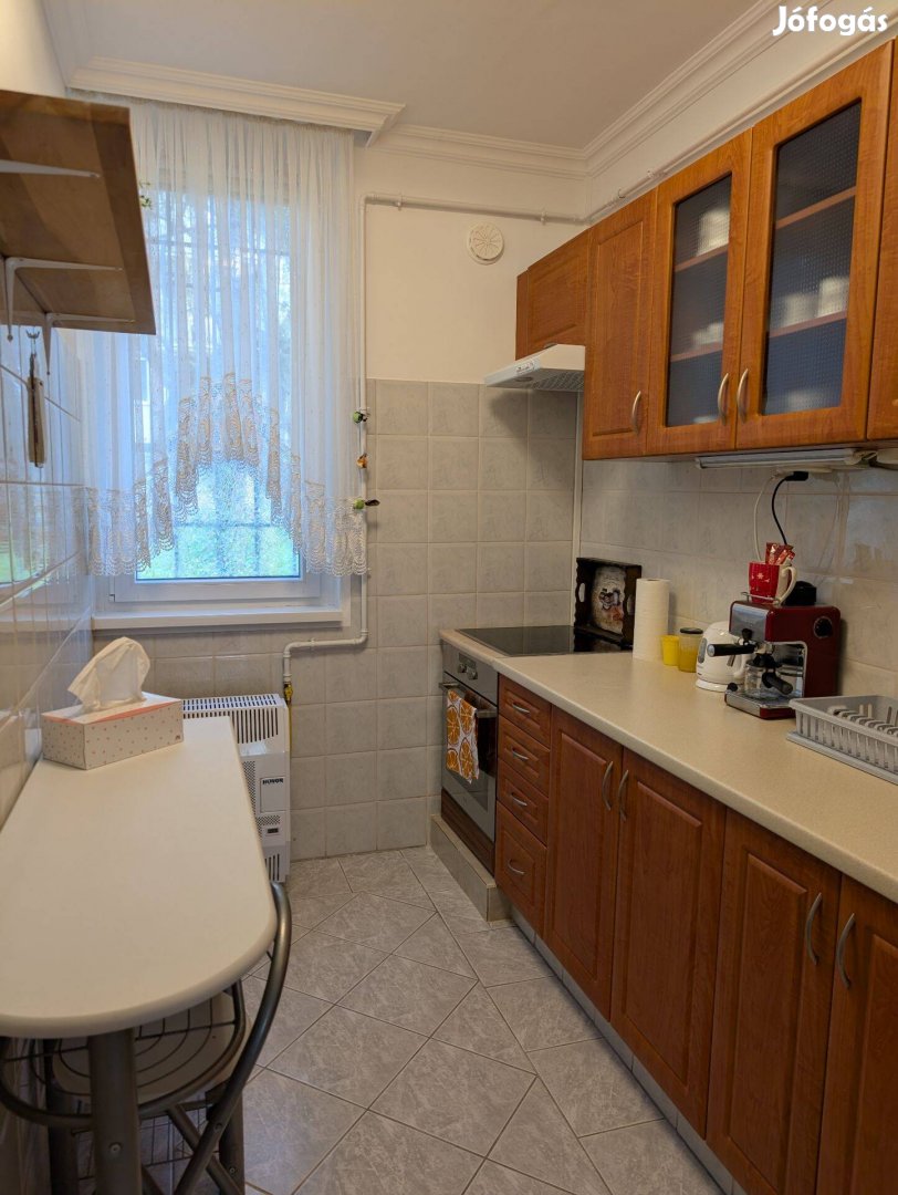 Ó-hegy park közelében 41 m2-es tiszta, rendezett lakás