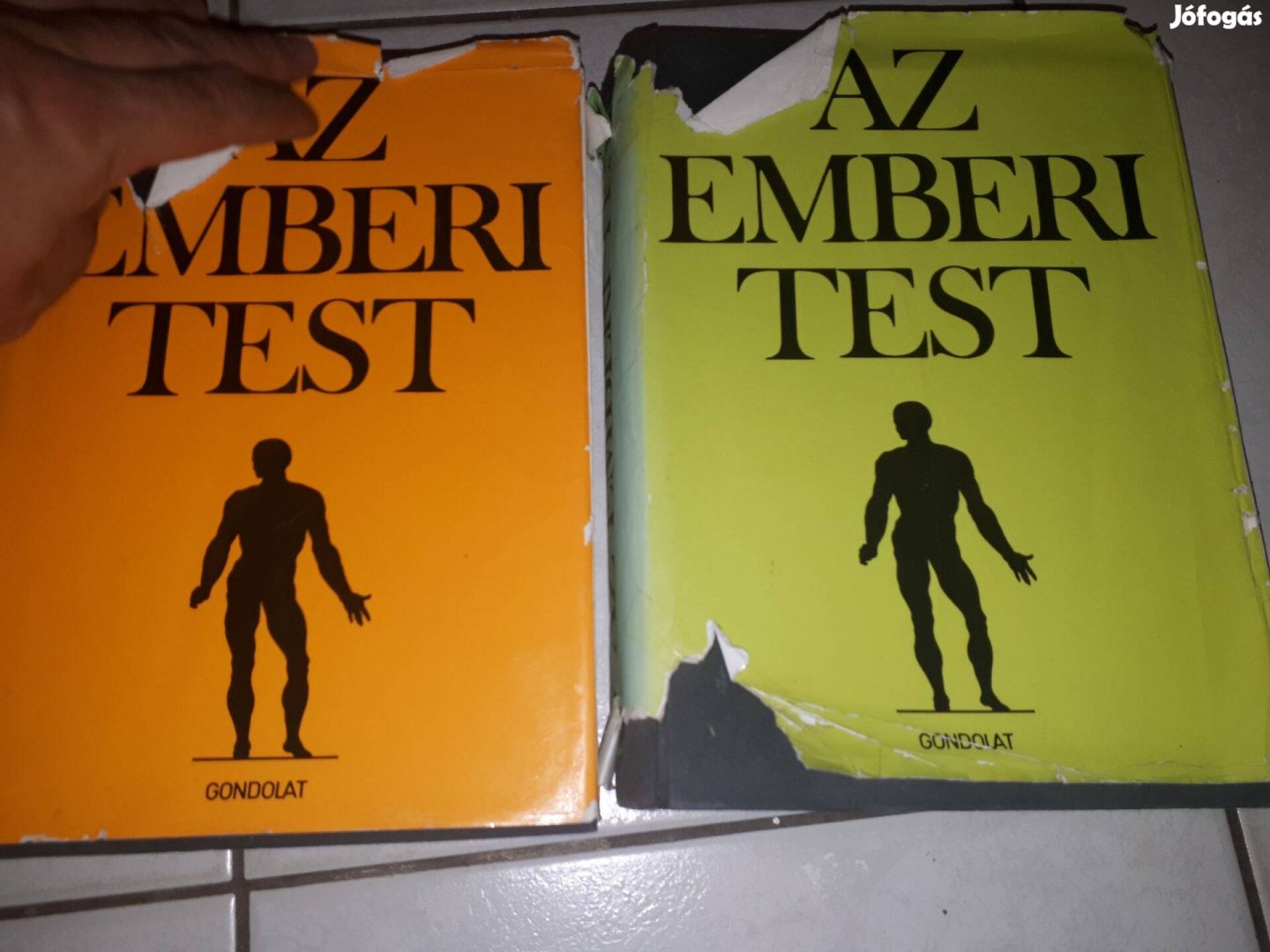 Obál Ferenc (szerk.) - Az emberi test 1-2