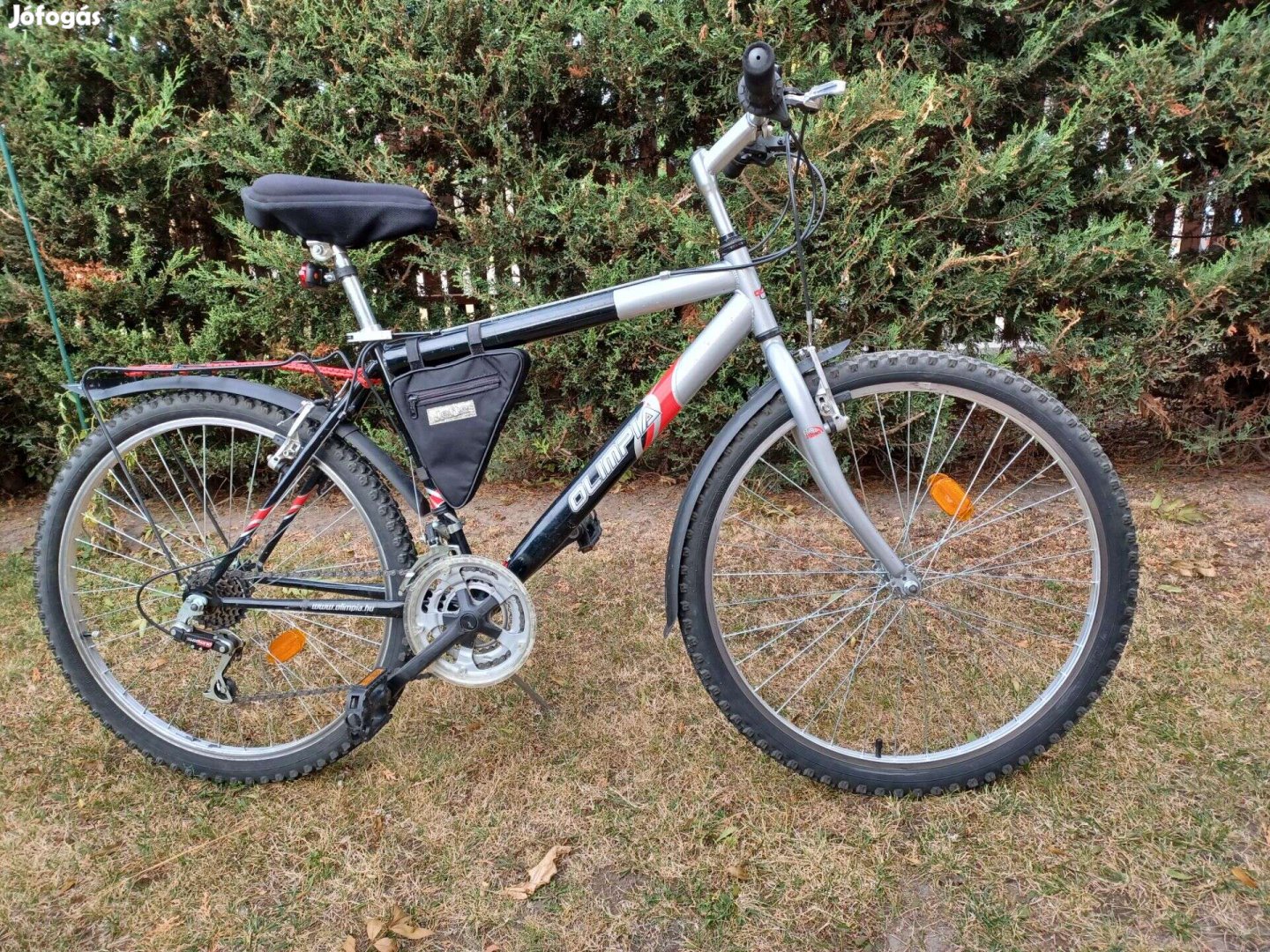 Olimpia MTB 26"