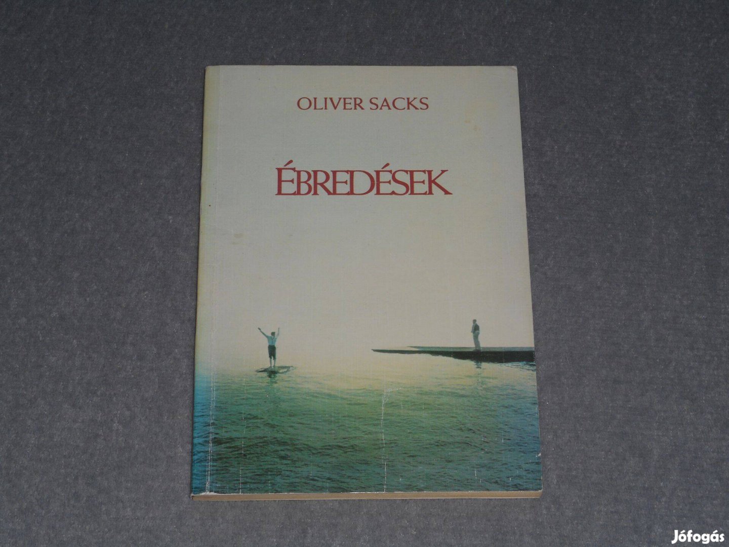 Oliver Sacks - Ébredések